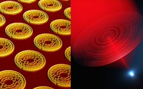 Nanophotonics & Metamaterials Group