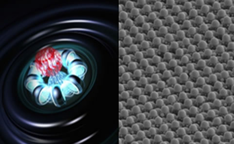 Nanophotonics & Metamaterials Group