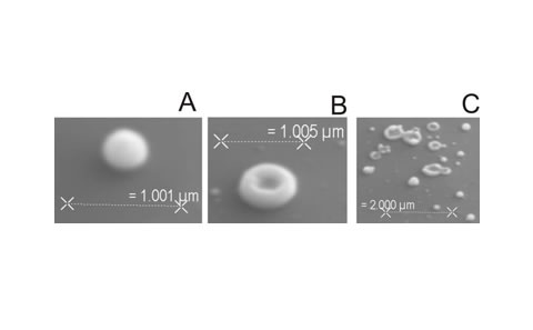 Laser-Induced Forward Transfer